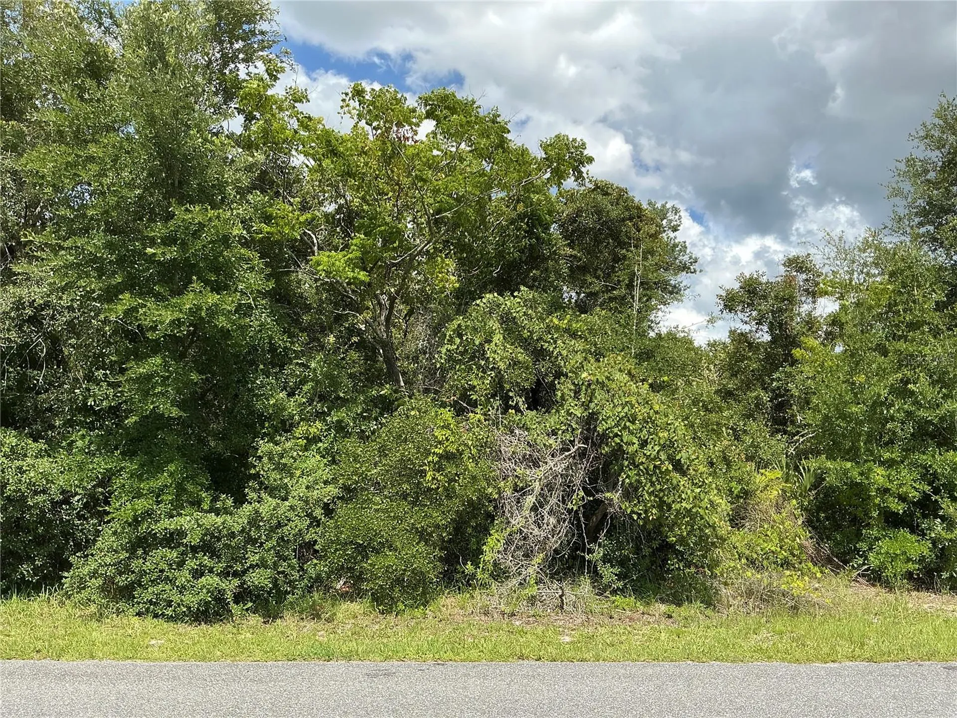 Marion Oaks Drive Ocala FL 34473