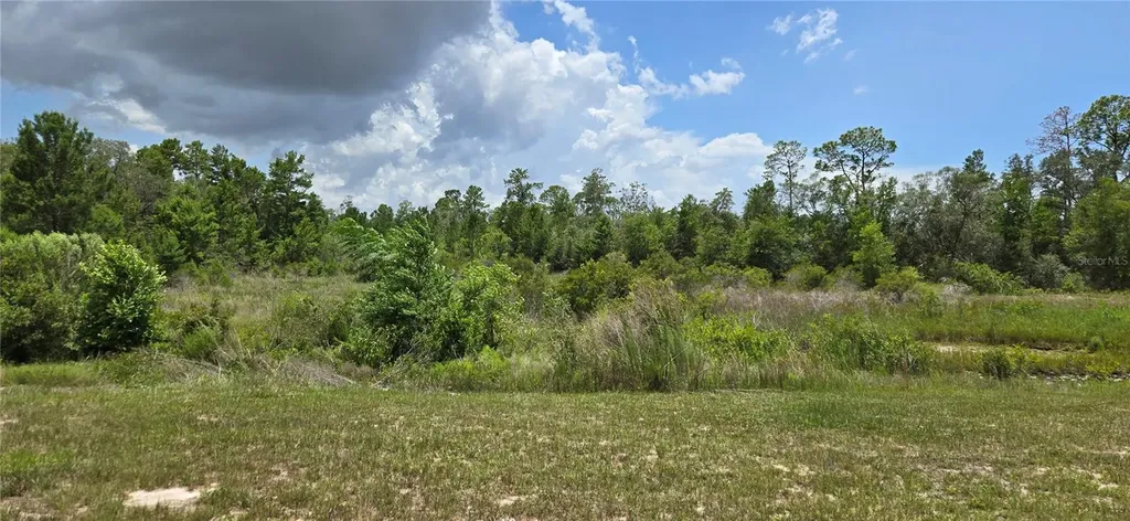 0 Lake Drive Weeki Wachee FL 34613