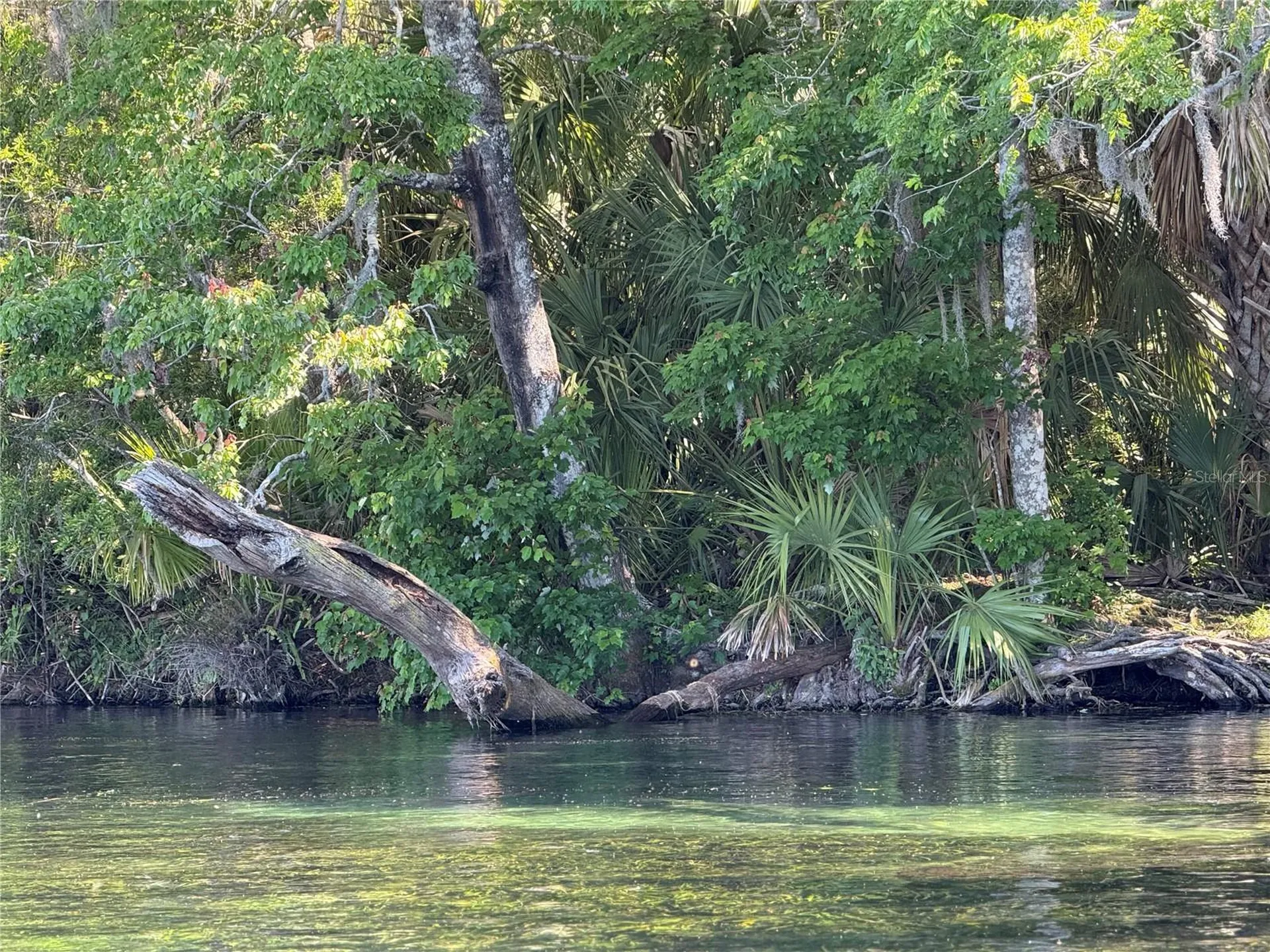 19331 SW 100th Loop Dunnellon FL 34432