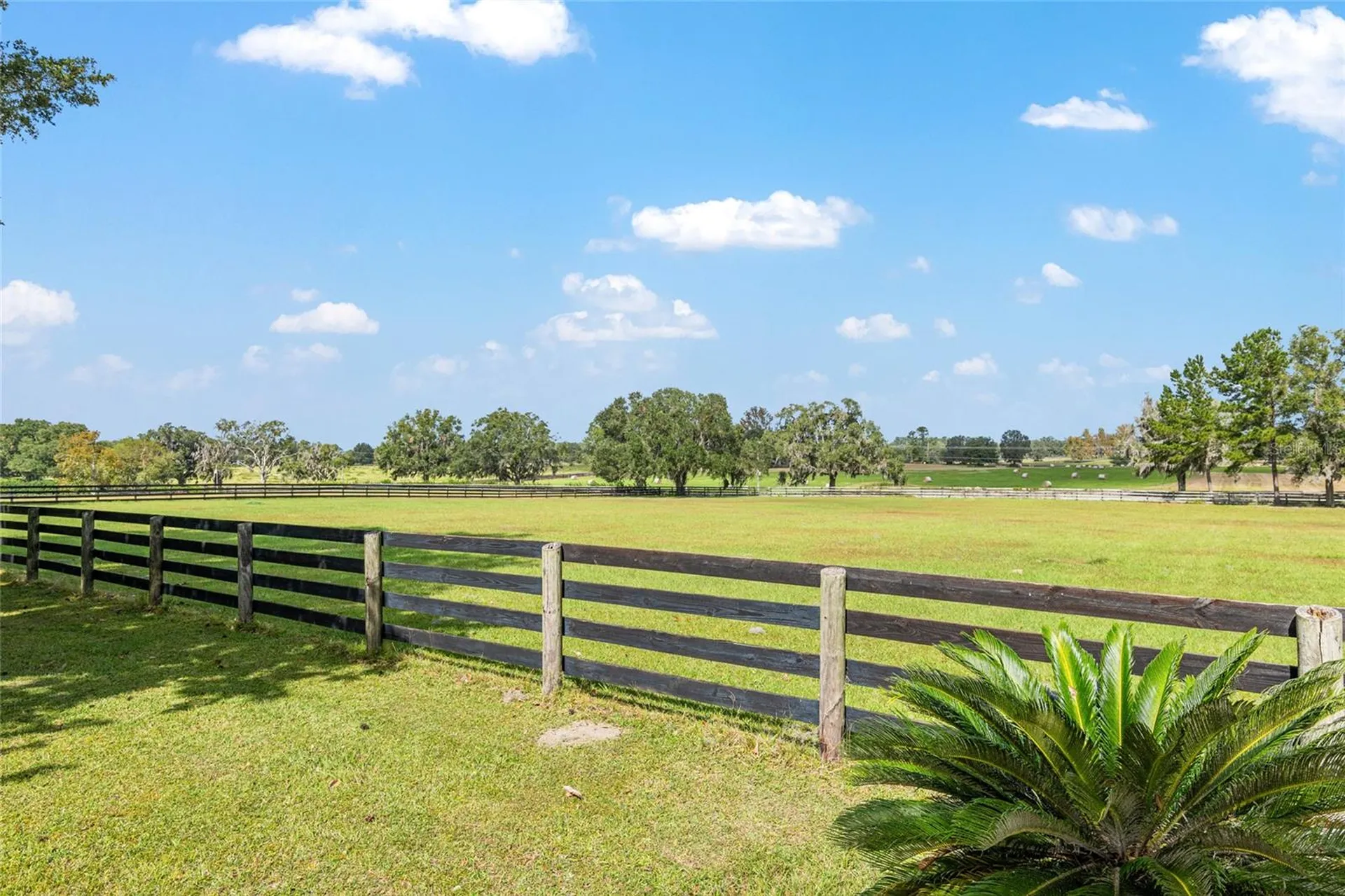 8544 NW 160th Avenue Morriston FL 32668
