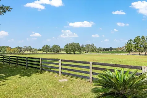 8544 NW 160th Avenue Morriston FL 32668