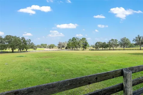 8544 NW 160th Avenue Morriston FL 32668