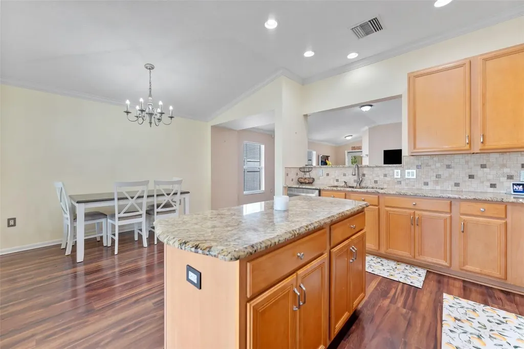 13508 Red Ear Court Riverview FL 33569