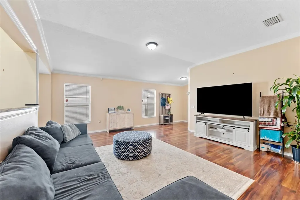 13508 Red Ear Court Riverview FL 33569