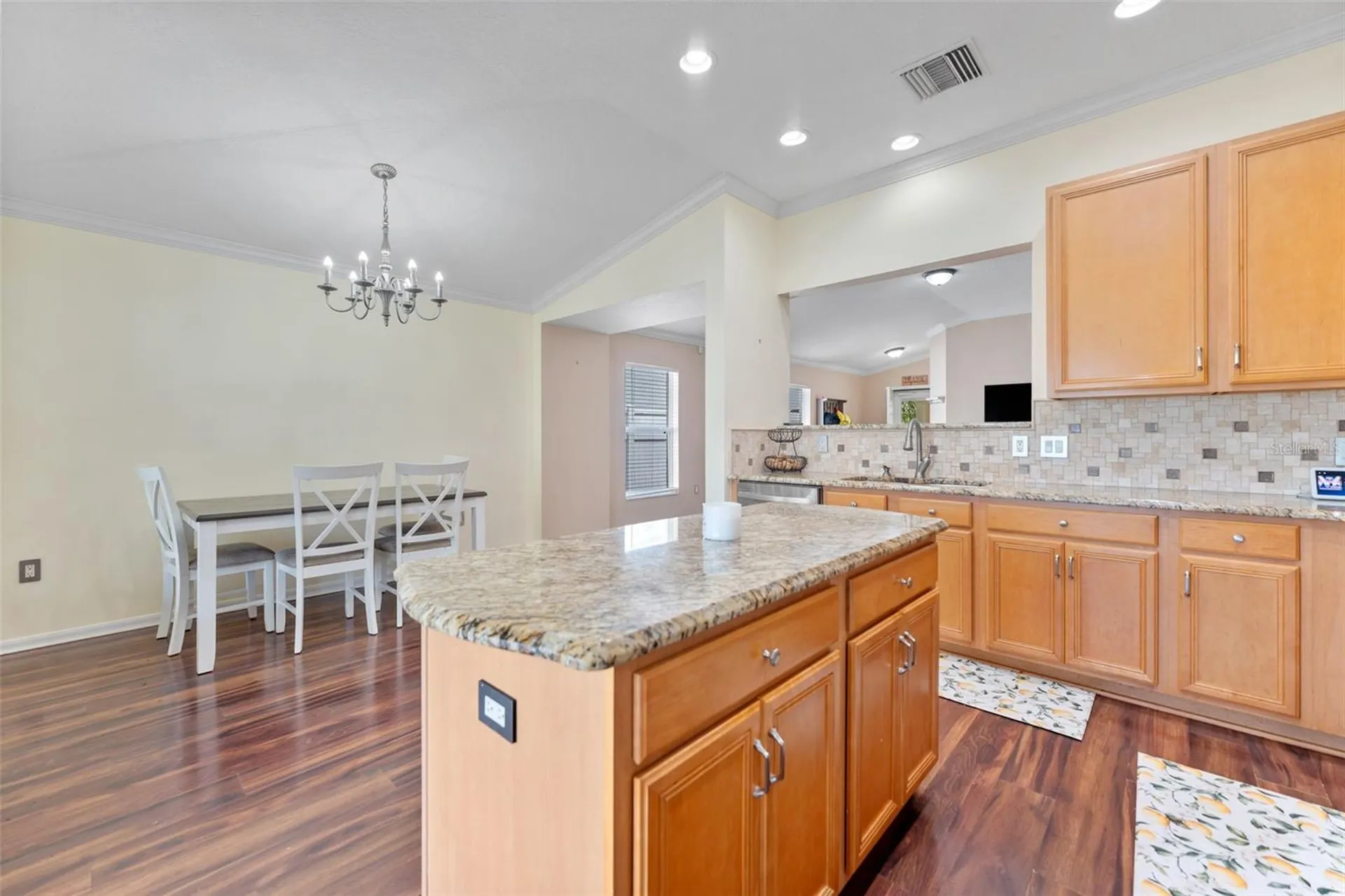 13508 Red Ear Court Riverview FL 33569