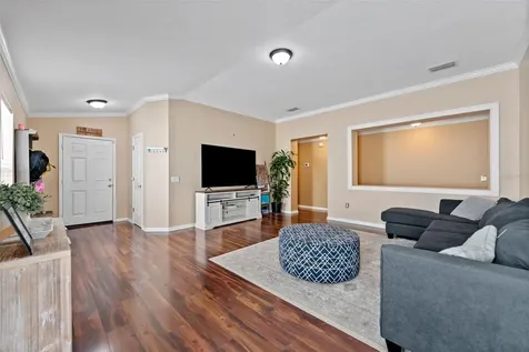 13508 Red Ear Court Riverview FL 33569
