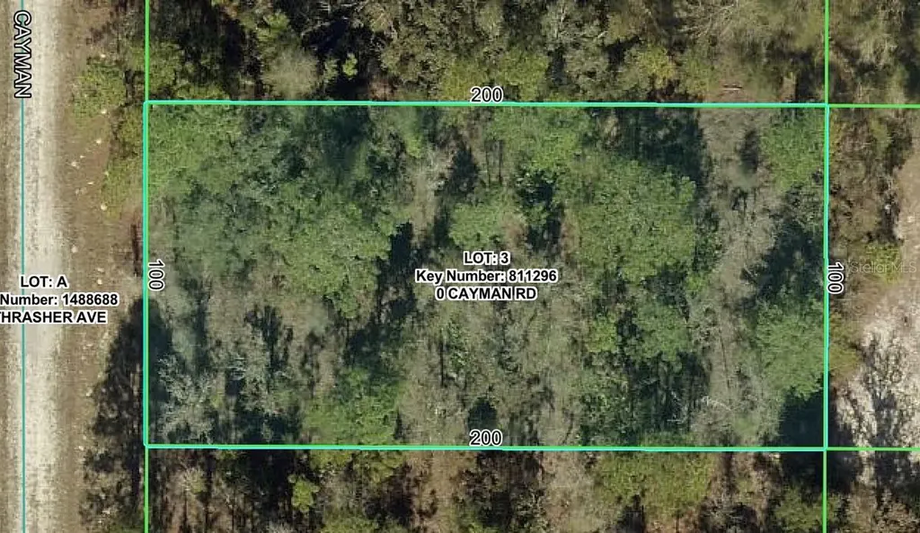 16464 Cayman Road Brooksville FL 34614