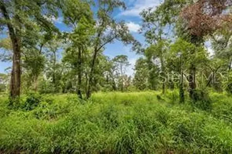 141 Holly Street Apopka FL 32712
