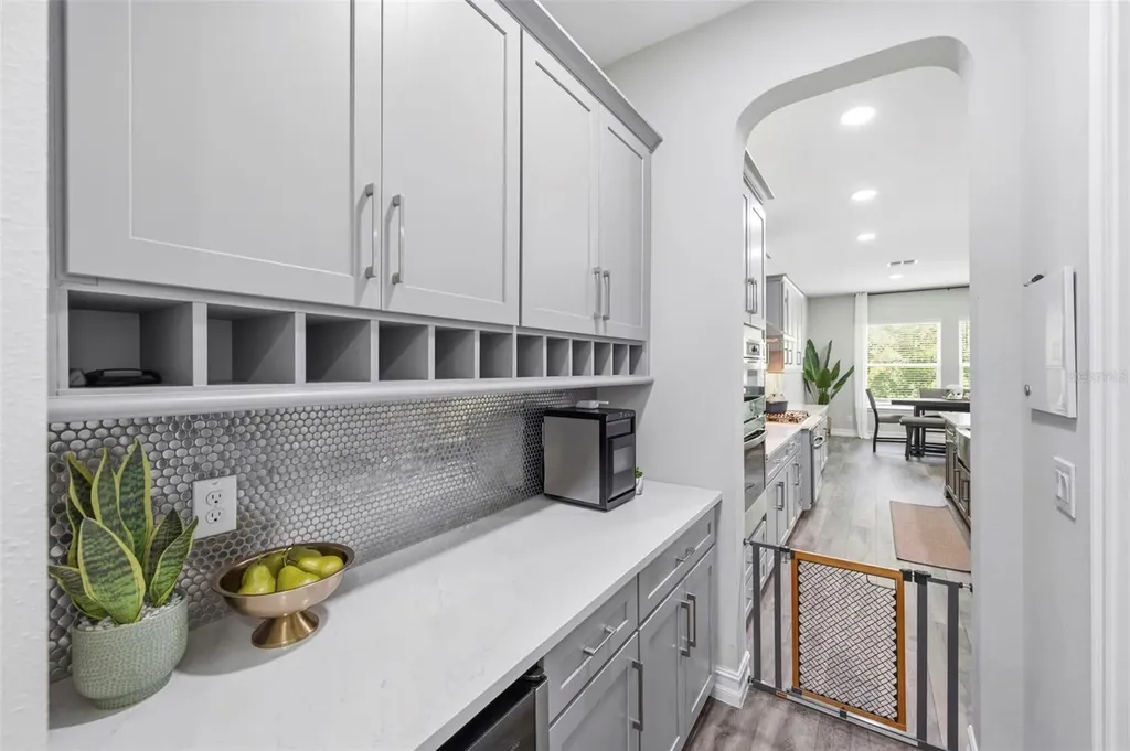 4441 Albero Place Wesley Chapel FL 33543