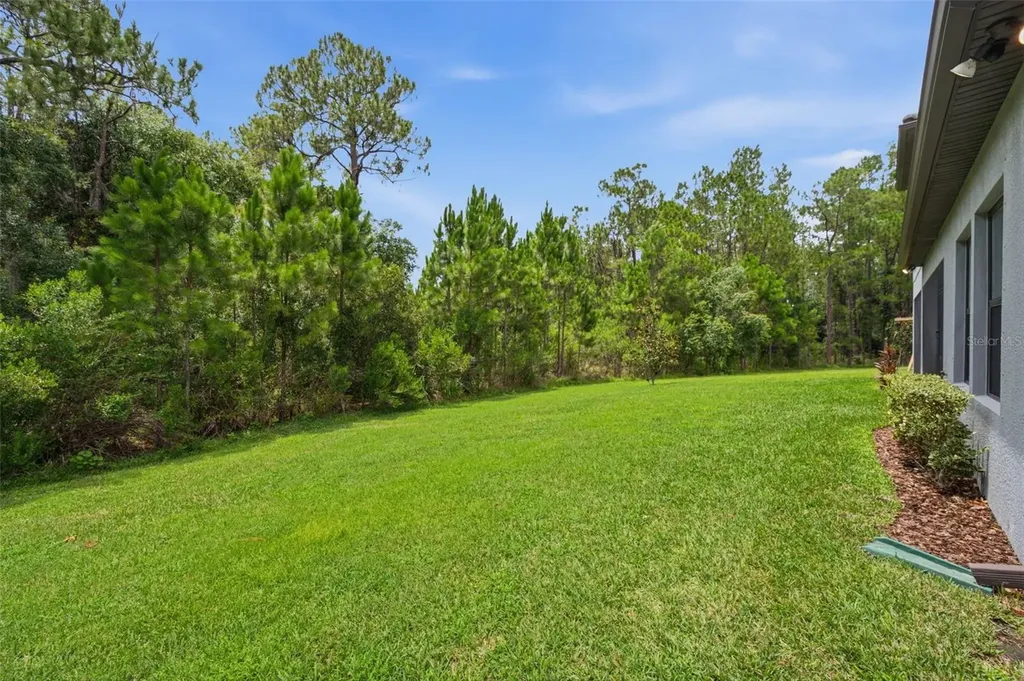 4441 Albero Place Wesley Chapel FL 33543