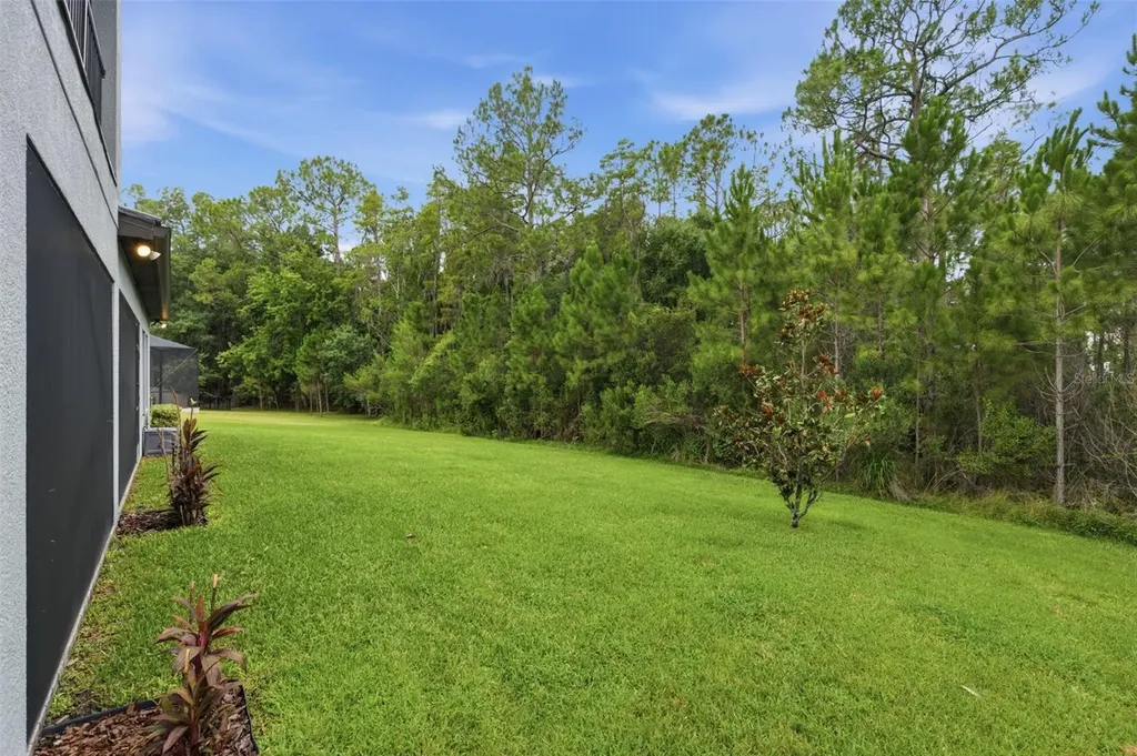 4441 Albero Place Wesley Chapel FL 33543
