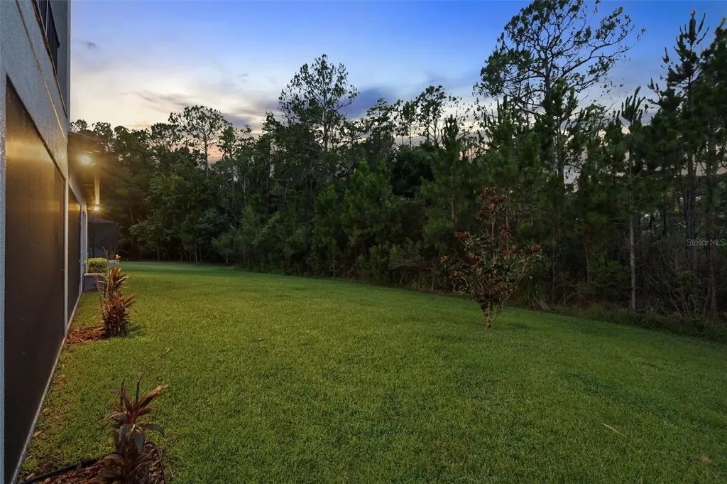 4441 Albero Place Wesley Chapel FL 33543