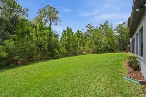 4441 Albero Place Wesley Chapel FL 33543