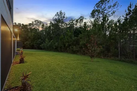 4441 Albero Place Wesley Chapel FL 33543