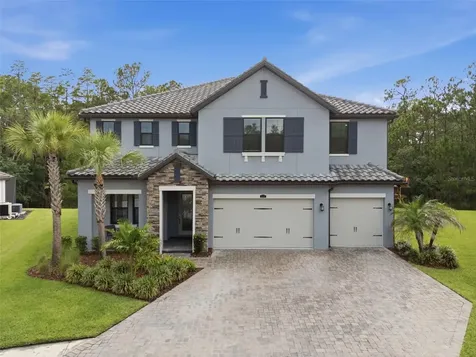 4441 Albero Place Wesley Chapel FL 33543