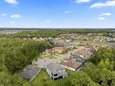 4441 Albero Place Wesley Chapel FL 33543