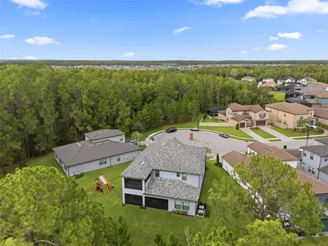 4441 Albero Place Wesley Chapel FL 33543