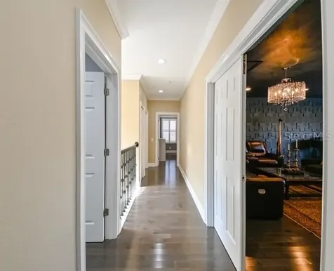 10119 Deercliff Drive Tampa FL 33647
