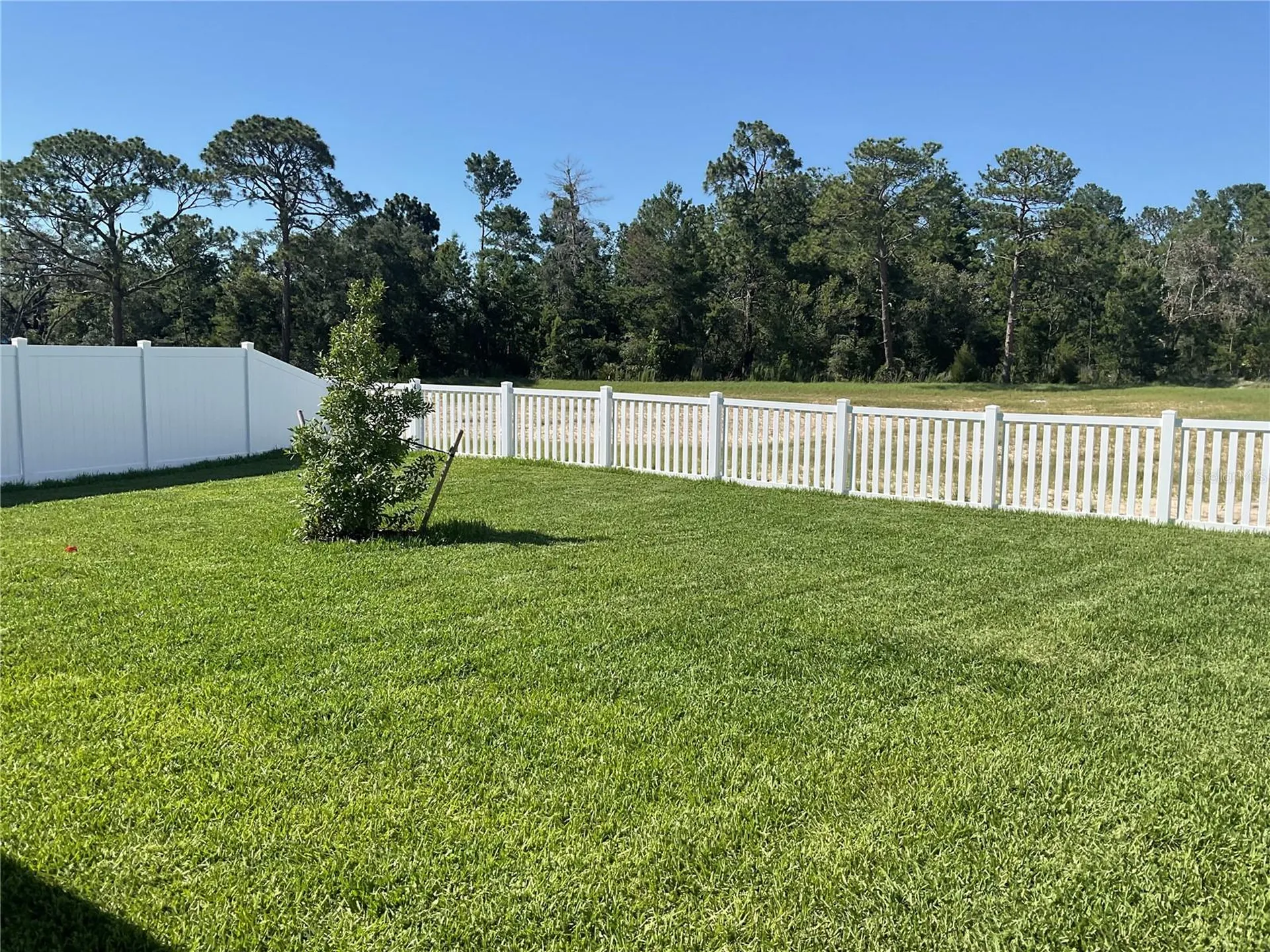3802 Benham Rise Road Spring Hill FL 34609