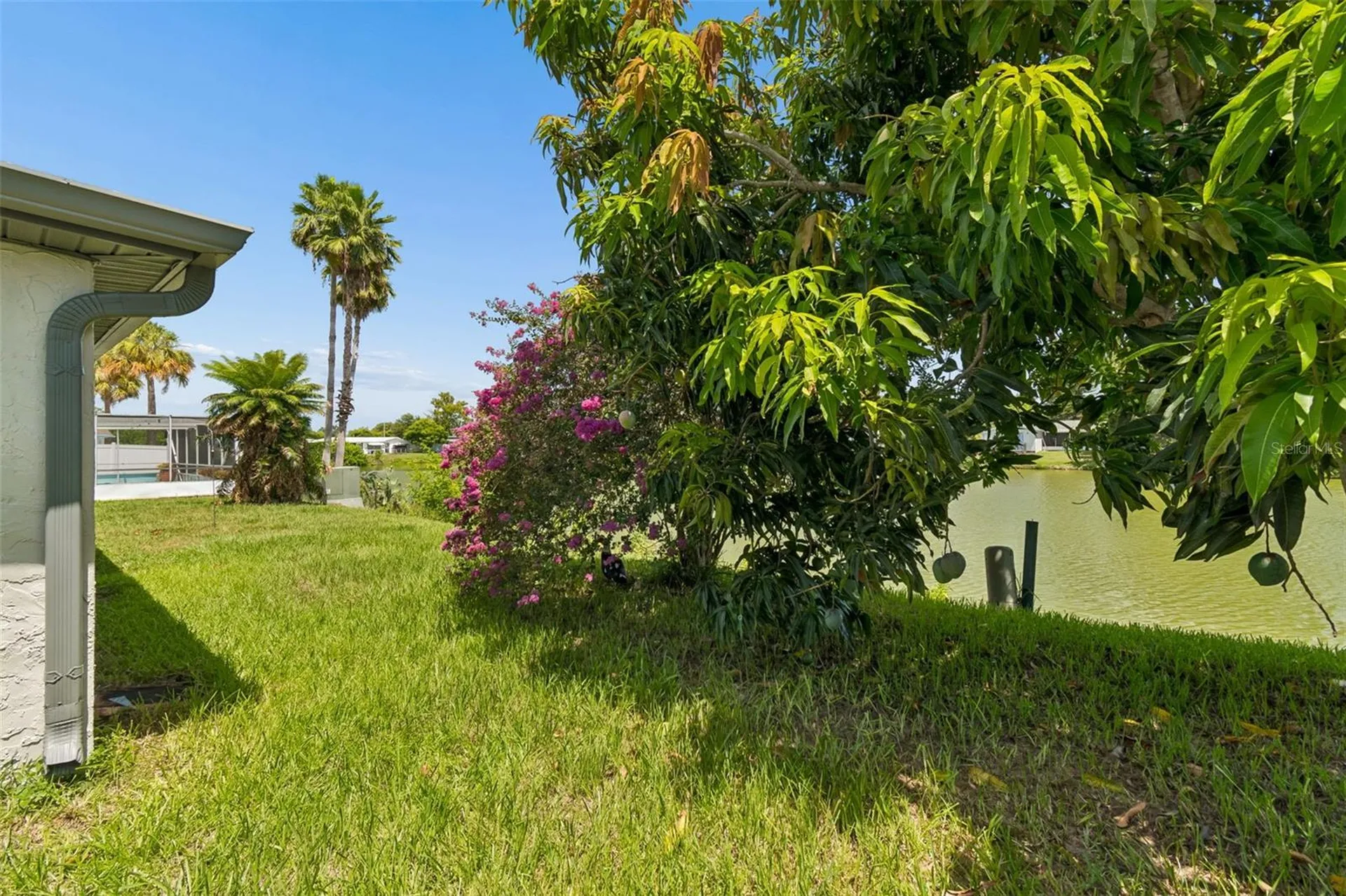 7407 Populus Drive Port Richey FL 34668