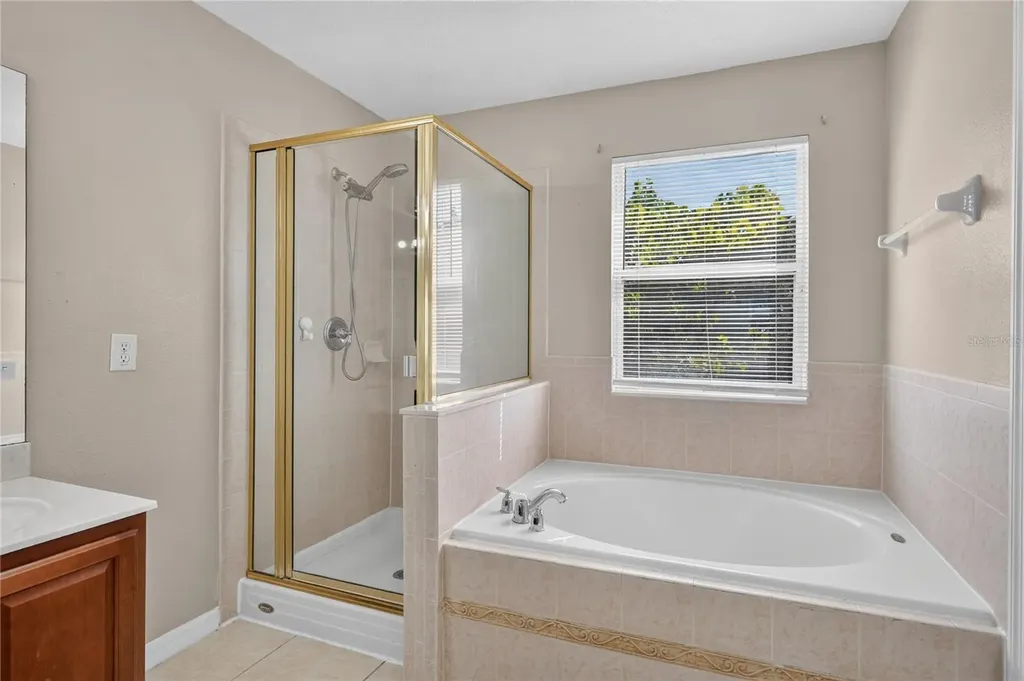 223 Largovista Drive Oakland FL 34787