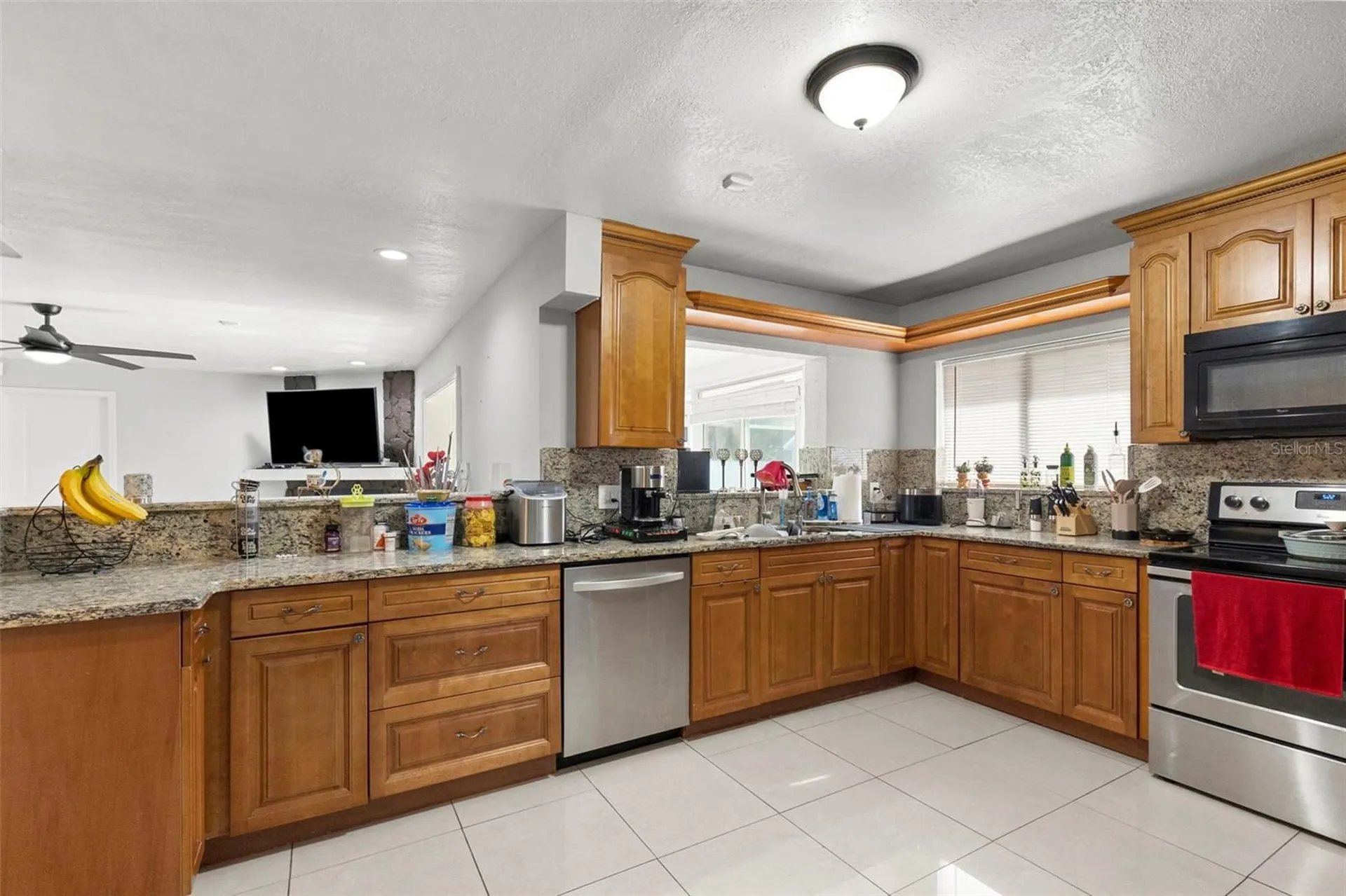 6920 N Cameron Avenue Tampa FL 33614