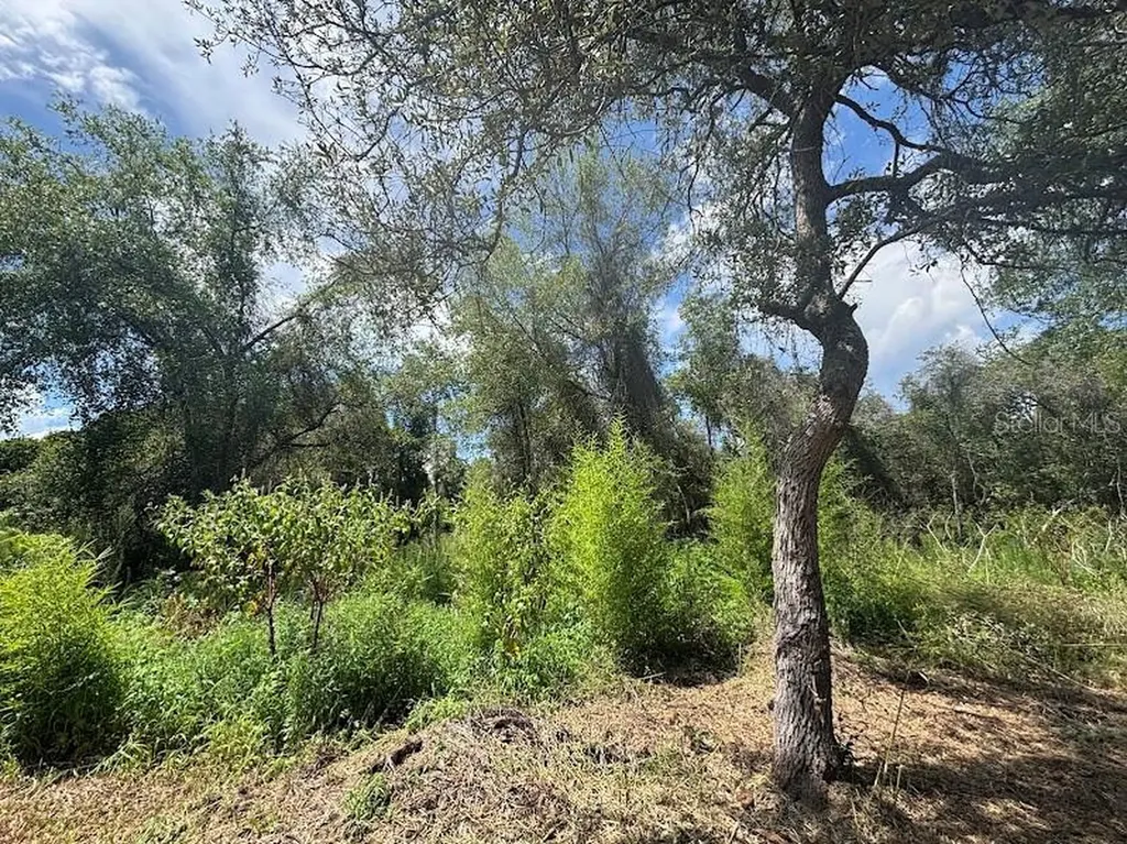 15299 NE 238th Street Fort Mc Coy FL 32134