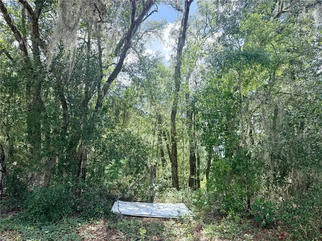 7932 N Elkcam Boulevard Citrus Springs FL 34433