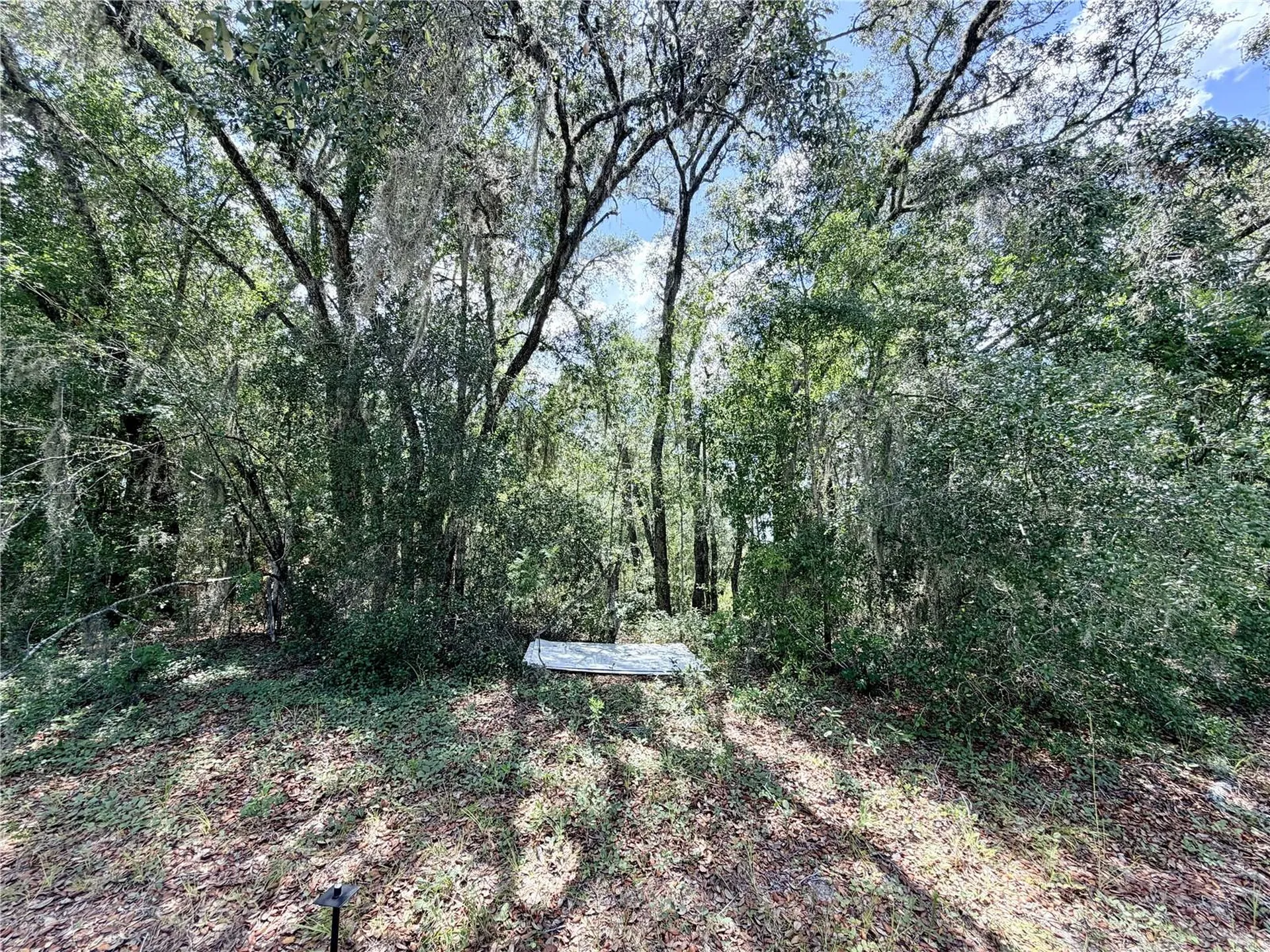 7932 N Elkcam Boulevard Citrus Springs FL 34433