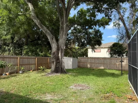 113 Kendale Drive Safety Harbor FL 34695