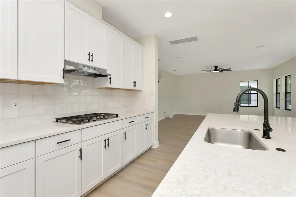 12633 Shetland Walk Drive Lithia FL 33547