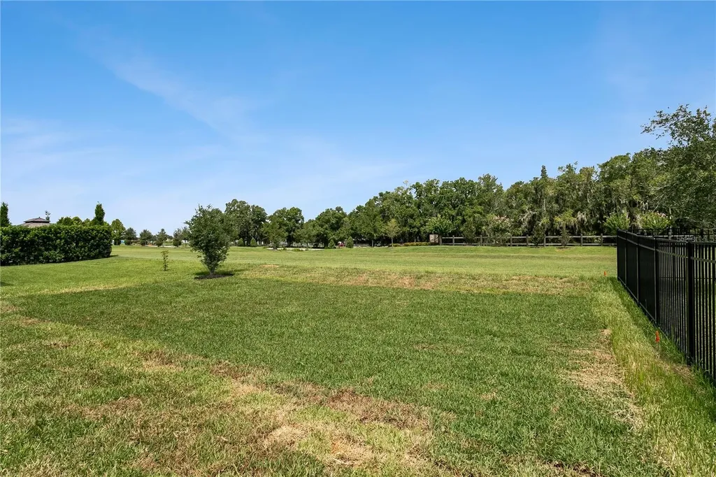 12633 Shetland Walk Drive Lithia FL 33547