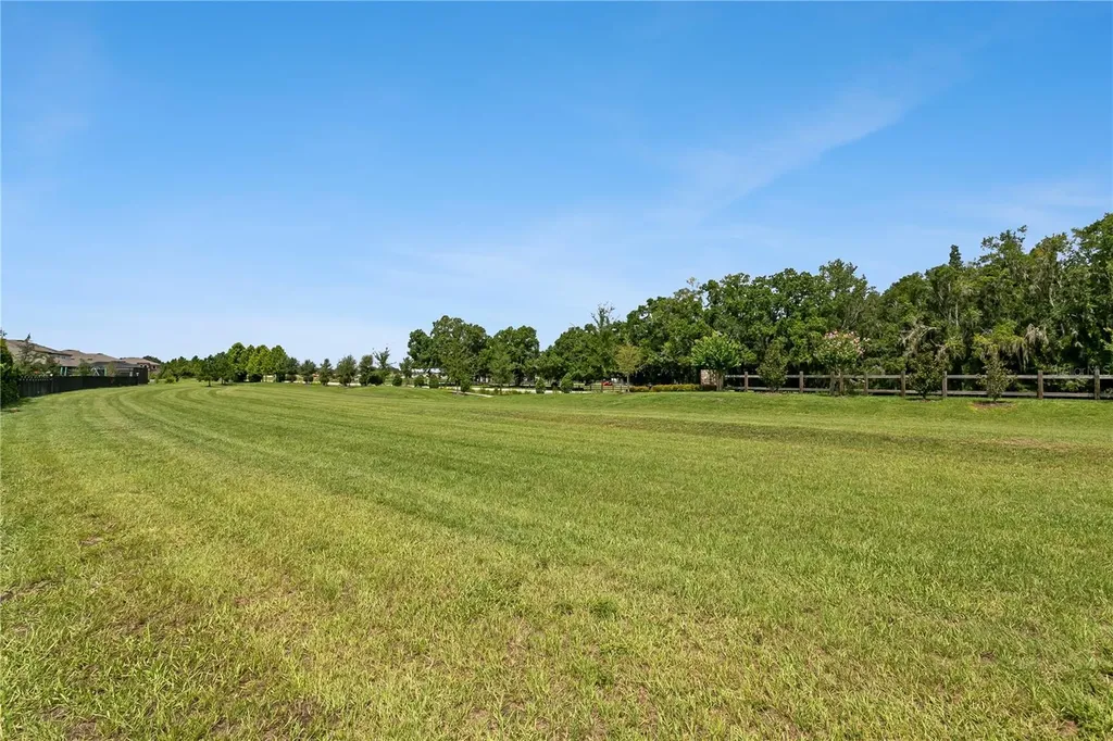 12633 Shetland Walk Drive Lithia FL 33547