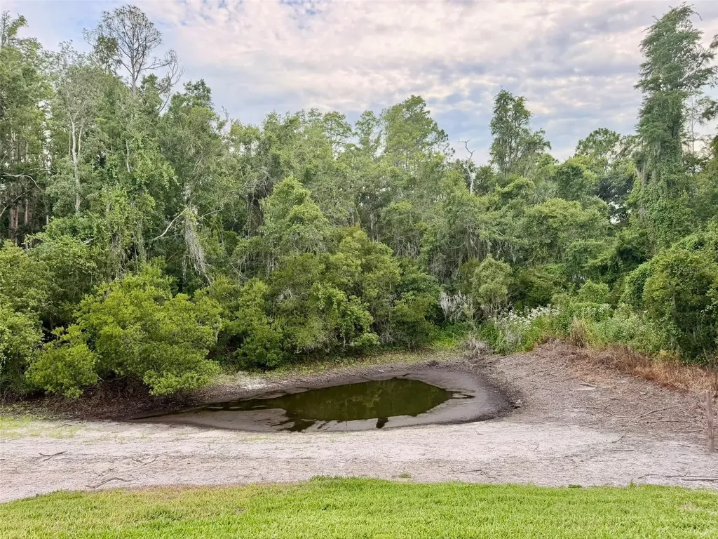 Wesley Chapel FL 33543