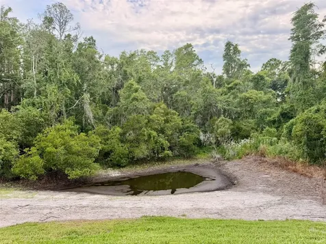 Wesley Chapel FL 33543