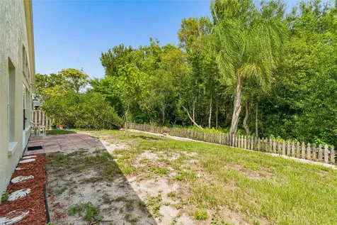 5160 Spike Horn Drive New Port Richey FL 34653