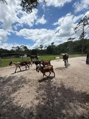 1375 W Ash Road Labelle FL 33935