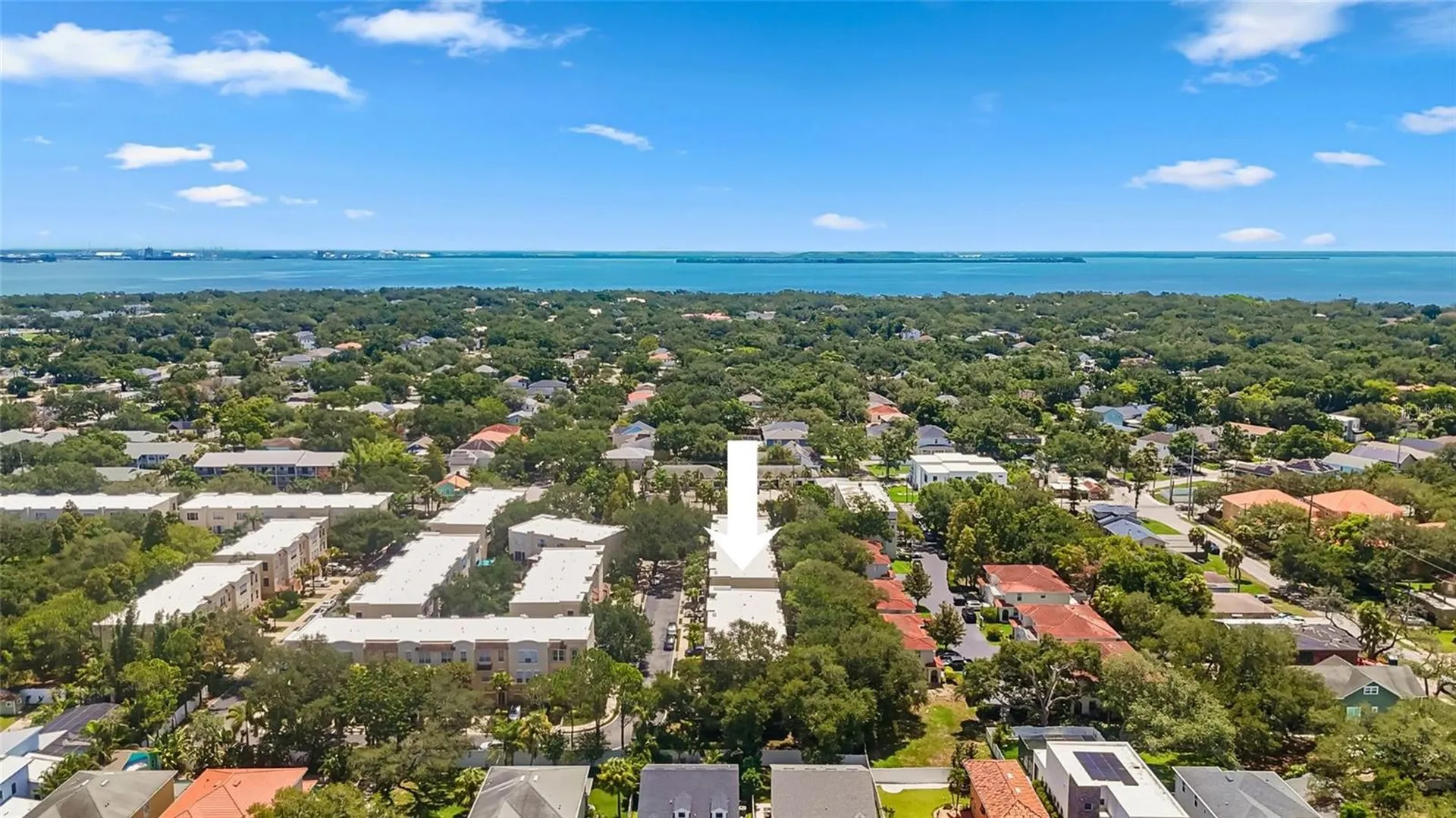 3175 Bayshore Oaks Drive Tampa FL 33611