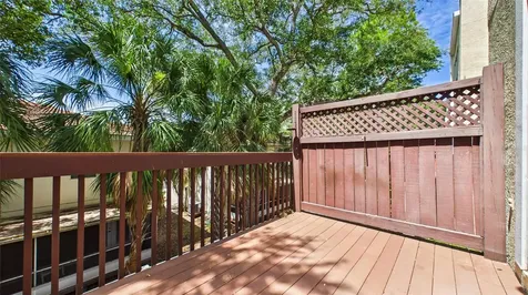3175 Bayshore Oaks Drive Tampa FL 33611