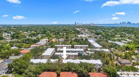 3175 Bayshore Oaks Drive Tampa FL 33611