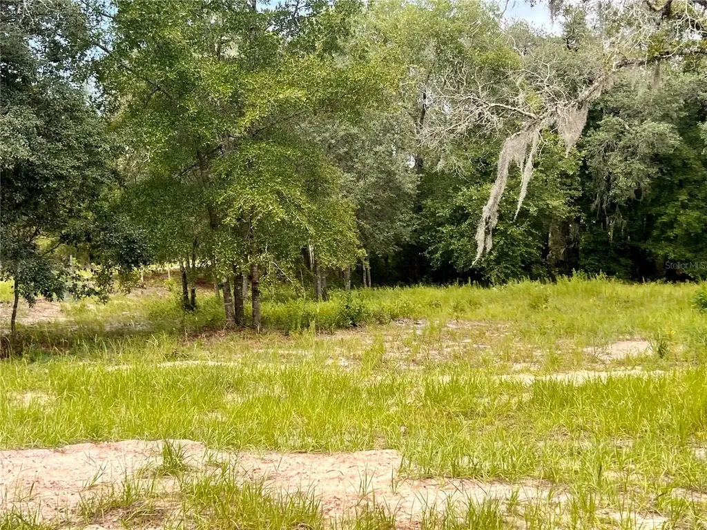 6281 SW 169th Court Ocala FL 34481