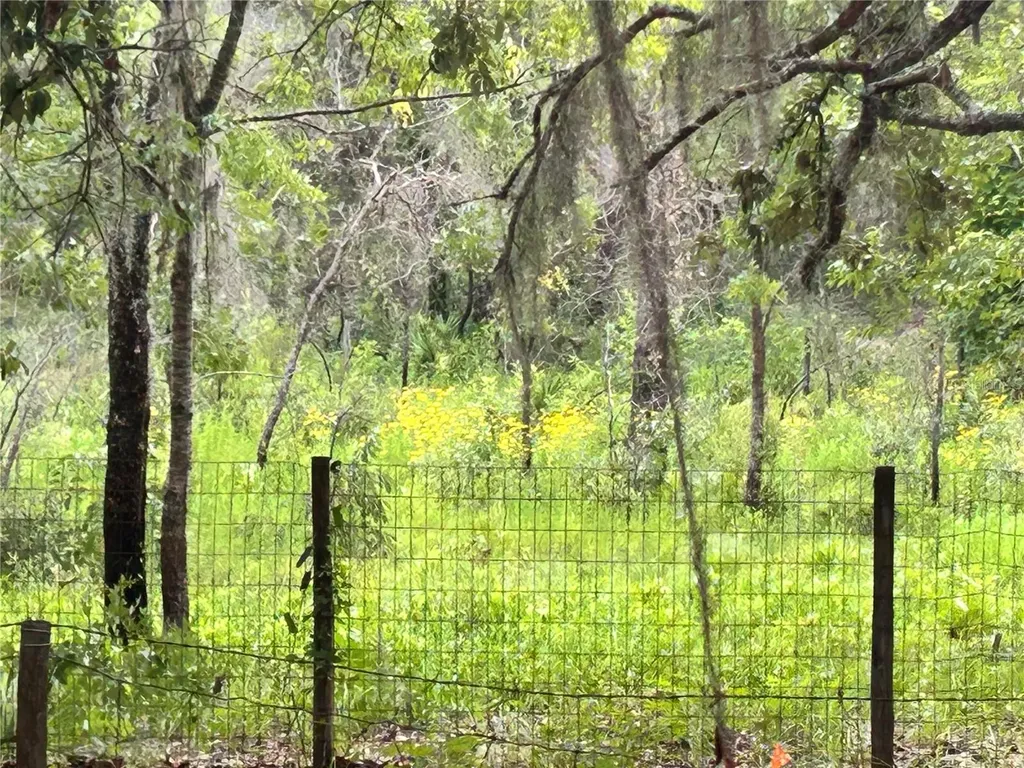 6281 SW 169th Court Ocala FL 34481