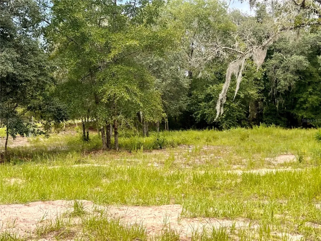 6281 SW 169th Court Ocala FL 34481