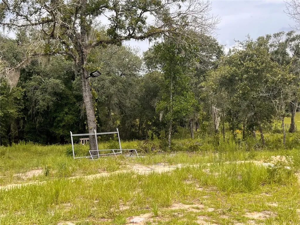 6281 SW 169th Court Ocala FL 34481