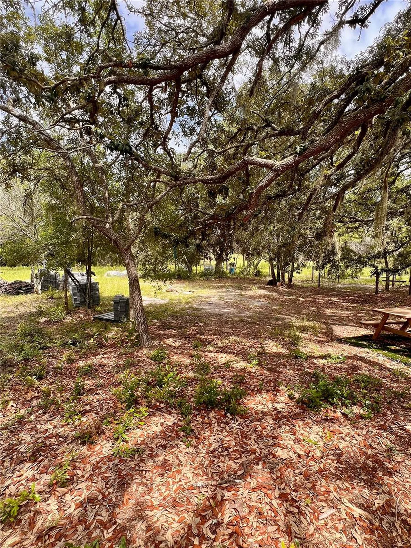 6281 SW 169th Court Ocala FL 34481