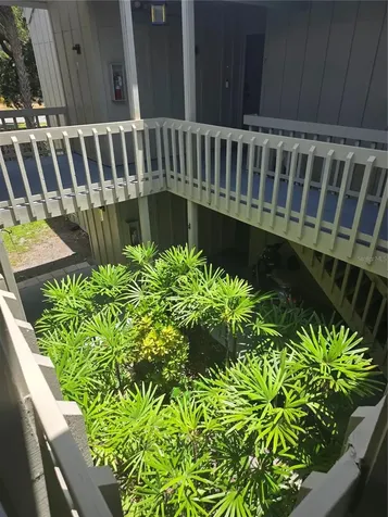 2220 Bahia Vista Street Sarasota FL 34239