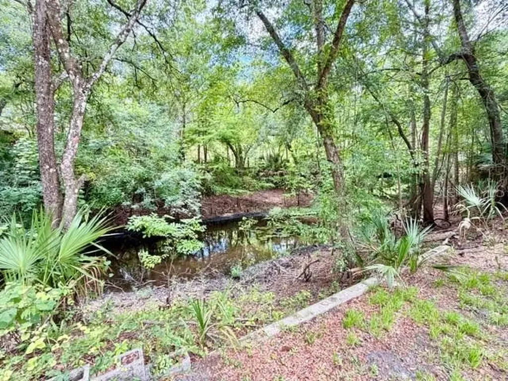 9749 Florida Street Fanning Springs FL 32693