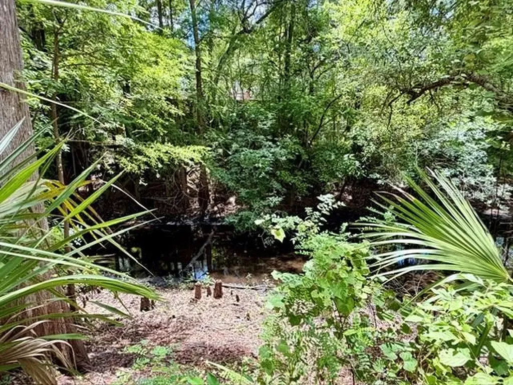 9749 Florida Street Fanning Springs FL 32693