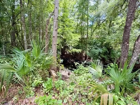 9749 Florida Street Fanning Springs FL 32693