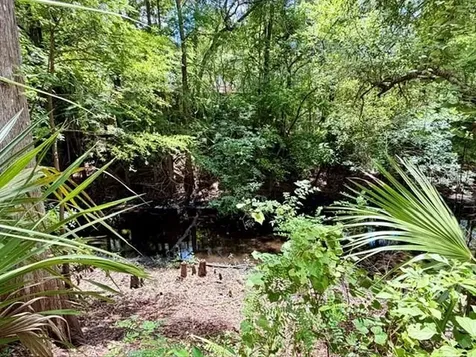 9749 Florida Street Fanning Springs FL 32693